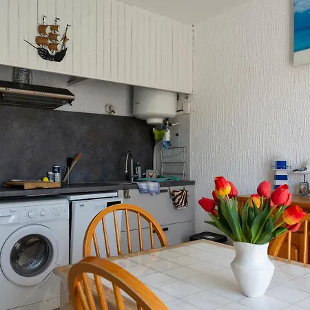 Le Petit Nid De Saint Pierre - A 100 M De La Apartament *